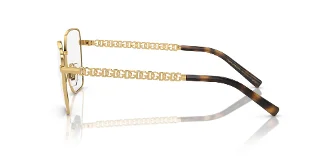 Dolce & Gabbana Eyeglasses DG1351