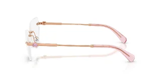 Swarovski Eyeglasses SK1031