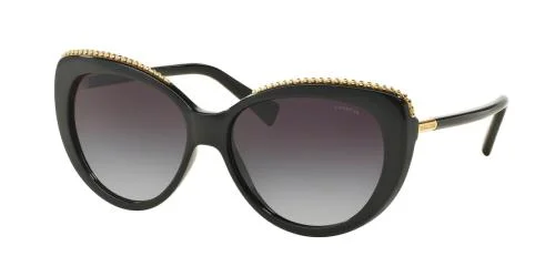 Coach Sunglasses HC8157 L137