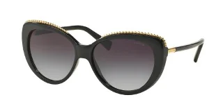 Coach Sunglasses HC8157 L137