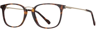 C03 Tortoise/Gold