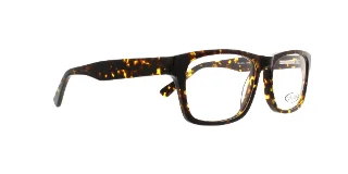Eight to Eighty Eyeglasses Dennis