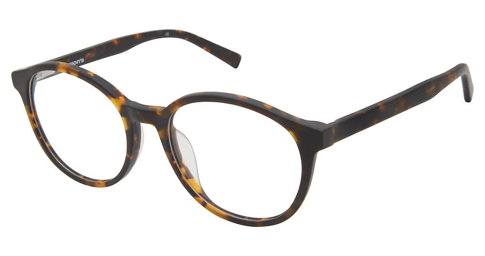 Vision's Eyeglasses AFV250