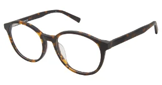 Vision's Eyeglasses AFV250