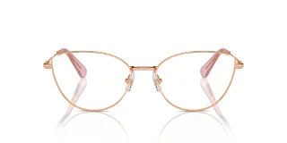 Swarovski Eyeglasses SK1012