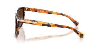 Coach Sunglasses HC8132 L109