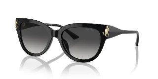 Jimmy Choo Sunglasses JC5018U