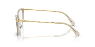Swarovski Eyeglasses SK2010