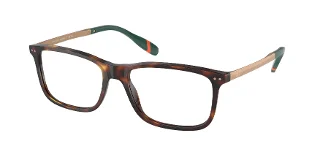 6137 Shiny Brown Tortoise