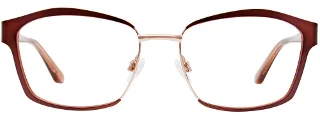 Easyclip Eyeglasses EC497