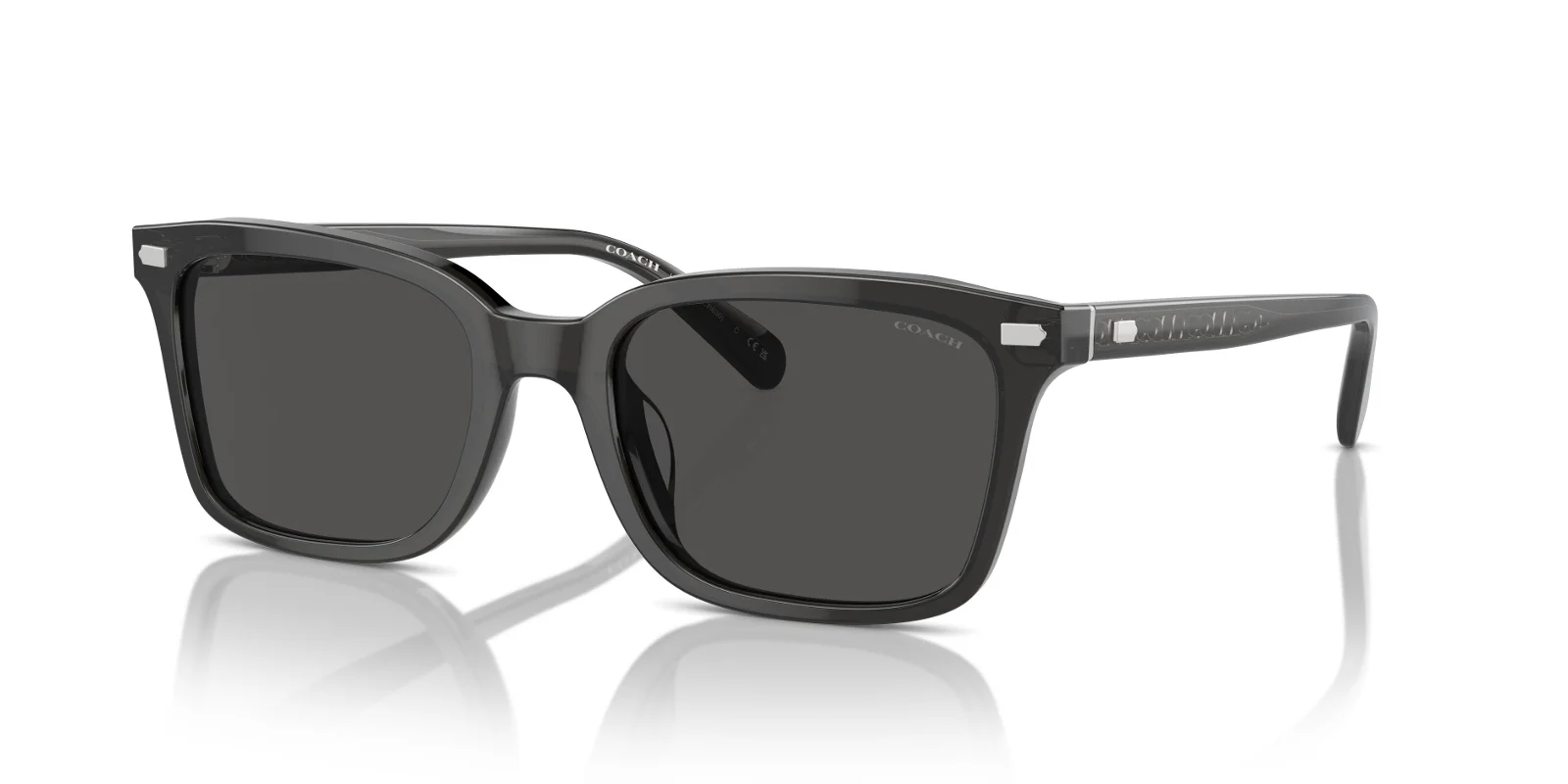 Coach Sunglasses HC8398U