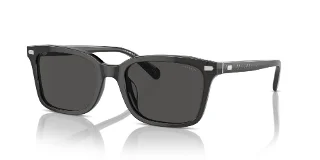 Coach Sunglasses HC8398U