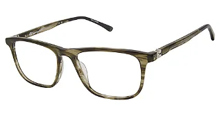 C03 Olive Horn