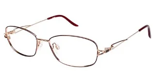 Aristar Eyeglasses AR 18411