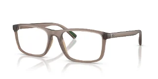 6313 Matte Transparent Brown