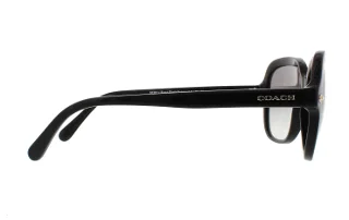 Coach Sunglasses HC8192 L1613