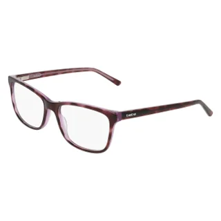 500 Plum Tortoise