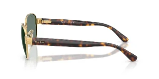 Ray Ban Sunglasses RB3766CH