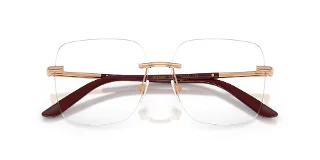 Dolce & Gabbana Eyeglasses DG1360