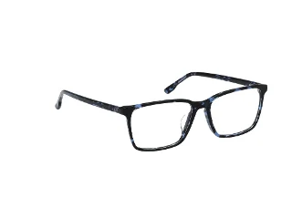 Hollister Eyeglasses HL50029
