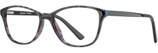C03 Blue Tortoise