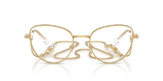 Swarovski Eyeglasses SK1022