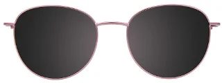 Easyclip Eyeglasses EC553