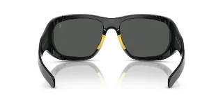 Polo Sunglasses PH4219U