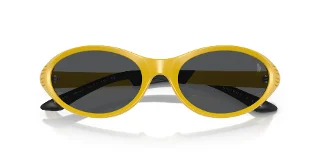 Polo Sunglasses PH4197U