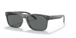 278681 Transparent Gray