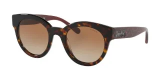 512013 Dark Tortoise
