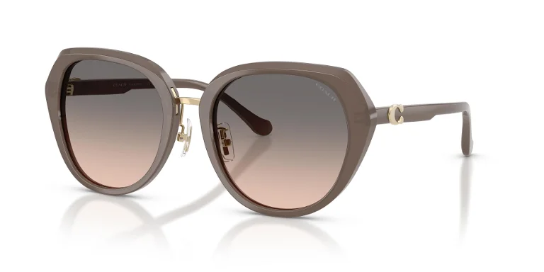 Coach Sunglasses HC8436