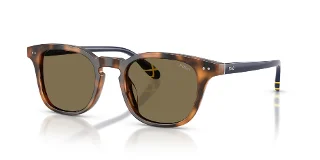 608973 Shiny Tortoise