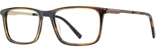 C03 Tortoise/Gold