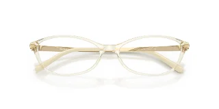 Miu Miu Eyeglasses MU05ZV