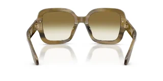 Giorgio Armani Sunglasses AR8268U