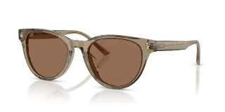 505173 Transparent Brown