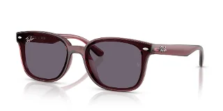 659373 Transparent Dark Brown