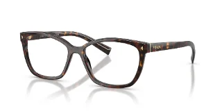 17N1O1 Root Tortoise