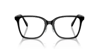 Swarovski Eyeglasses SK2026D