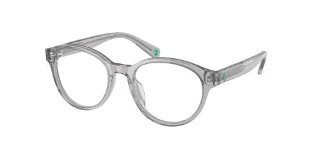 5413 Shiny Transp. Grey