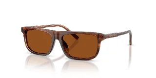 Dolce & Gabbana Sunglasses DX4009