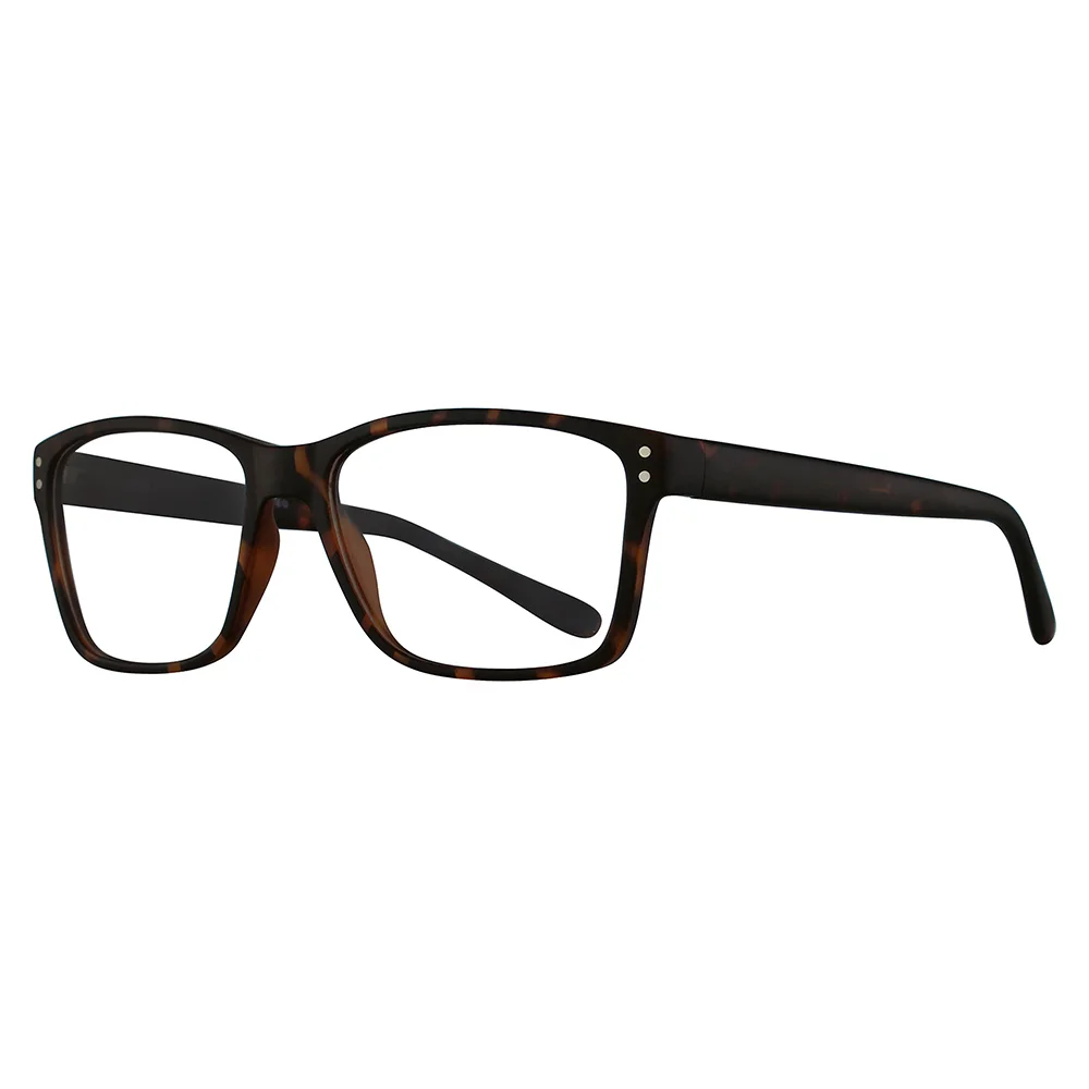 Stylewise Eyeglasses SW229
