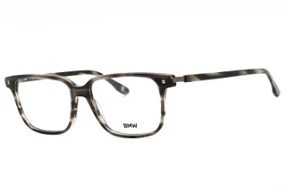 Bmw Eyeglasses BW5033