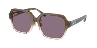 Coach Sunglasses HC8335F