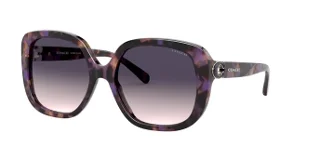 561236 Lavender Tortoise