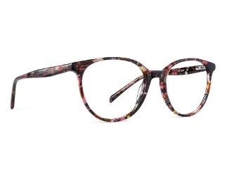 C1 Berry Tortoise