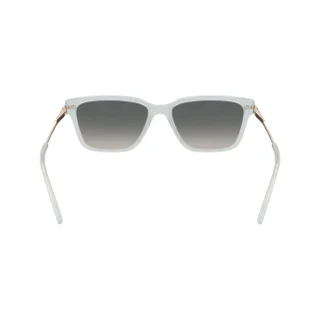 Dkny Sunglasses DK713S