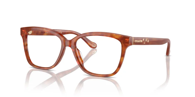 Coach Eyeglasses HC6242U