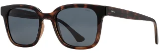 C02 Tortoise